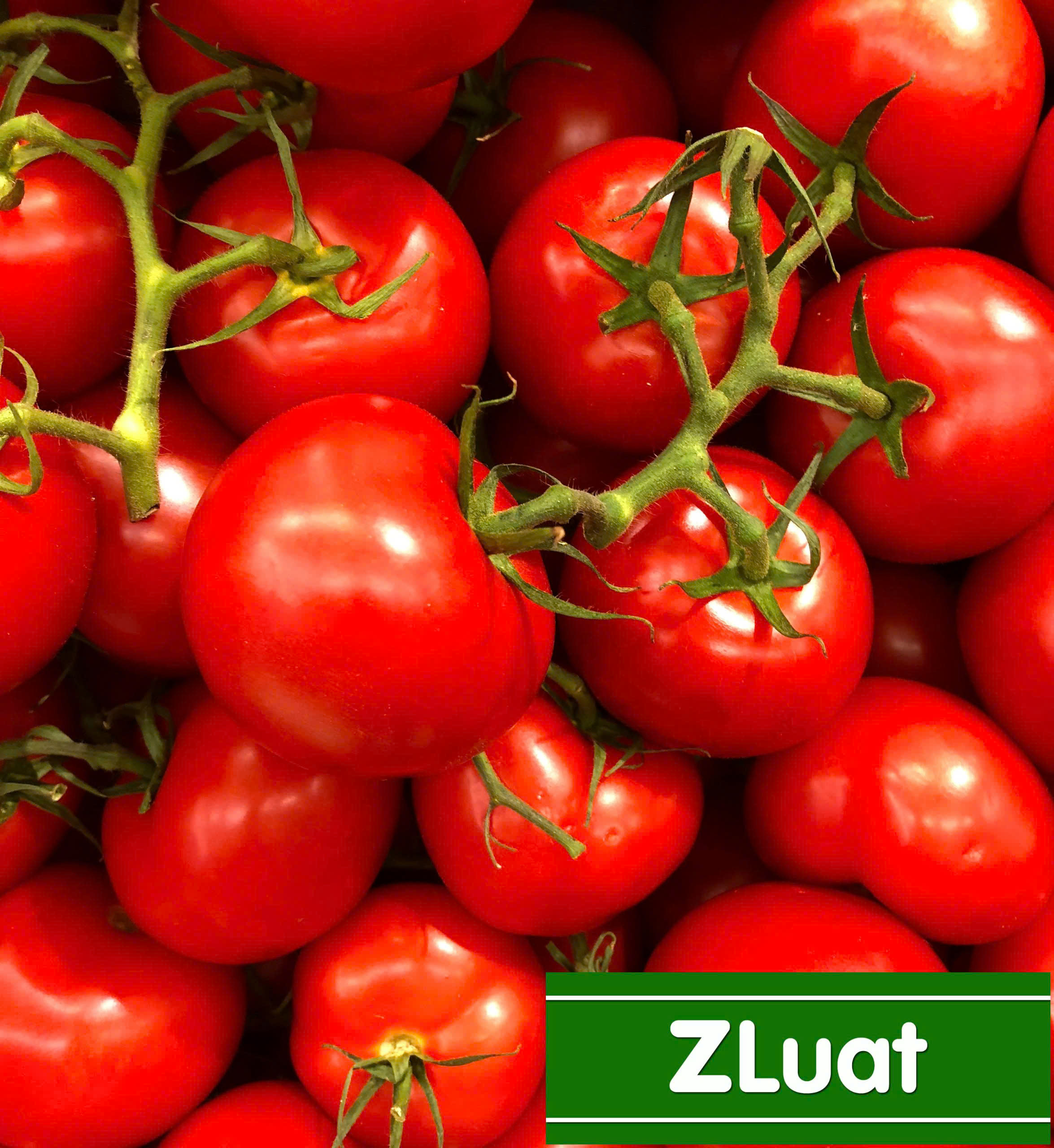 Crafting Captivating Headlines: Your awesome post title goes here 1 0b24cad3e454500a09457